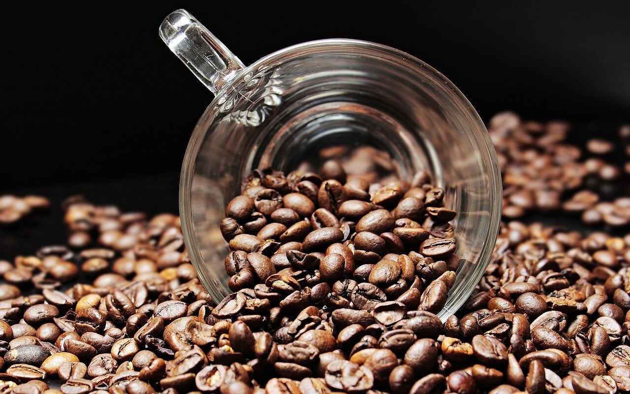 differenza robusta arabica caffè